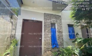 fil4020250827112