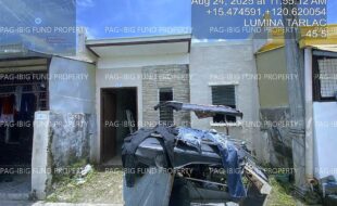 fil4020250827120