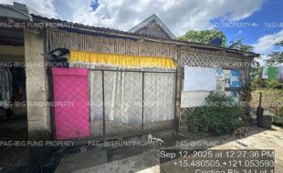 fil4020250916065