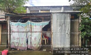 fil4020250916099