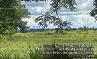 fil4020250916120