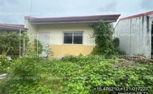 fil4020251016075