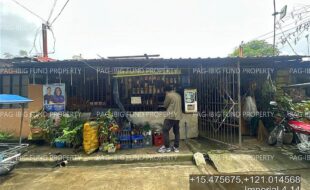 fil4020251016079