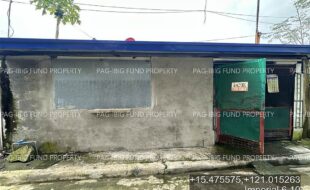 fil4020251016083