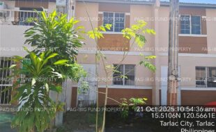 fil4020251022043