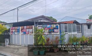 fil4020251029138