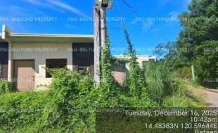 fil4020251217055