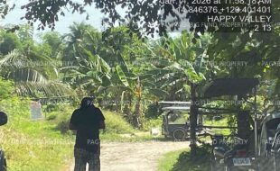 fil4020260116025