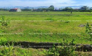 fil4720231219056