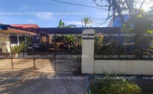 fil4720240103003