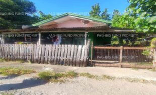 fil4720240103008