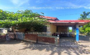 fil4720240104006