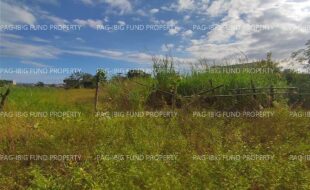 fil4720240104014