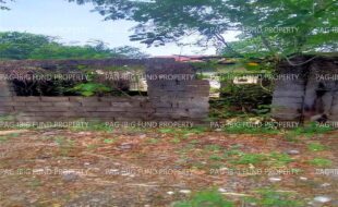 fil4720240117037
