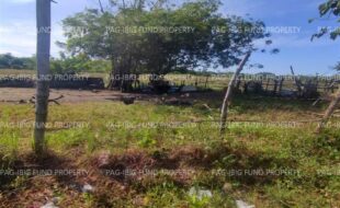 fil4720240127153