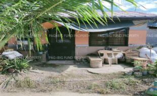 fil4720240127159