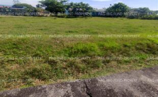 fil4720240127221