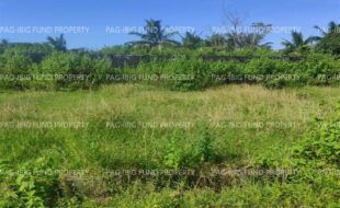fil4720240201003