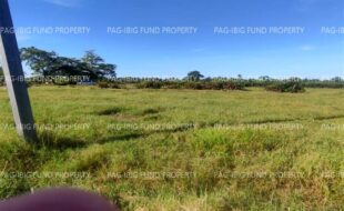 fil4720240201008