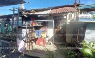 fil4720240212022