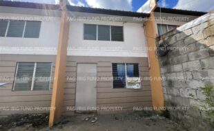 fil4720240217196