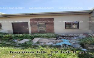 fil4720240422019
