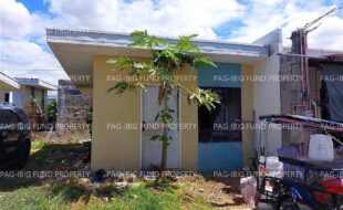fil4720240619147