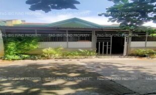 fil4720240622096