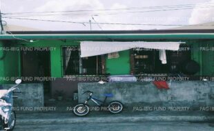 fil4720240822052