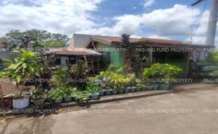 fil4720240904048
