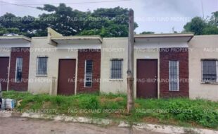 fil4720240909045