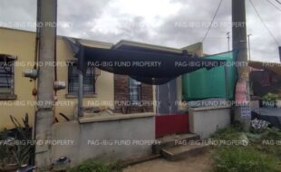 fil4720240924055
