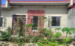 fil4720240925013