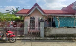 fil4720241116007