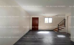 fil4720241209170