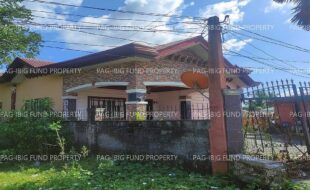 fil4720241226001