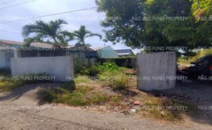 fil4720241227045