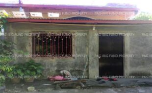 fil4720250201026