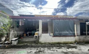 fil4720250204015