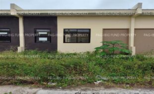 fil4720250206014