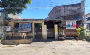 fil4720250423162