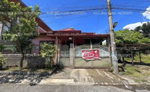 fil4720250503115