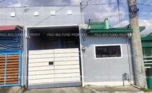 fil4720250507069