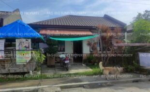 fil4720250807016