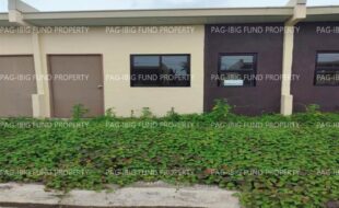 fil4720250818118