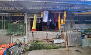 fil4720250822047