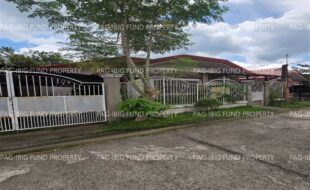 fil4720250925334
