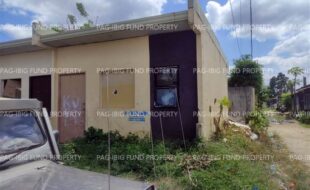 fil4720260304053