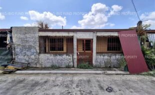 fil4720260317217