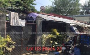 fil5920230518006